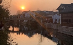 肉食教师食取报告4